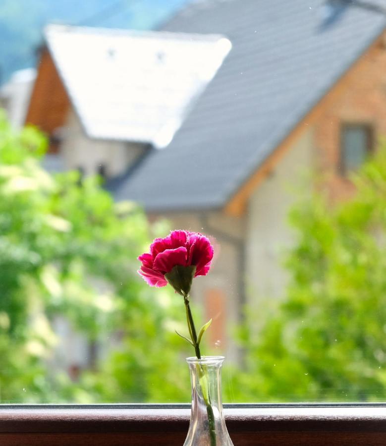 Jacobs Resort House Planica ครานสกา โกรา ภายนอก รูปภาพ